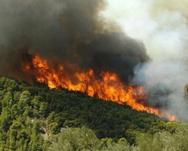 Σε εξέλιξη πυρκαγιά στον Όλυμπο