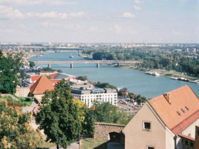 Σλοβακία: Δωδεκάχρονος δώρισε 5.000 ευρώ για να σώσει ένα δάσος