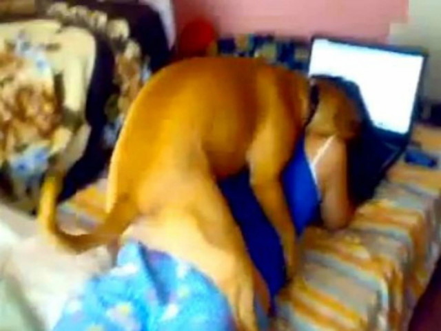 Το βίντεο της ημέρας: Σκύλος προσπαθεί να «βιάσει» την αφεντικίνα του!