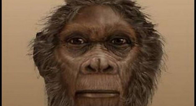 Ανακαλύφθηκε νέος πρόγονος του ανθρώπου
