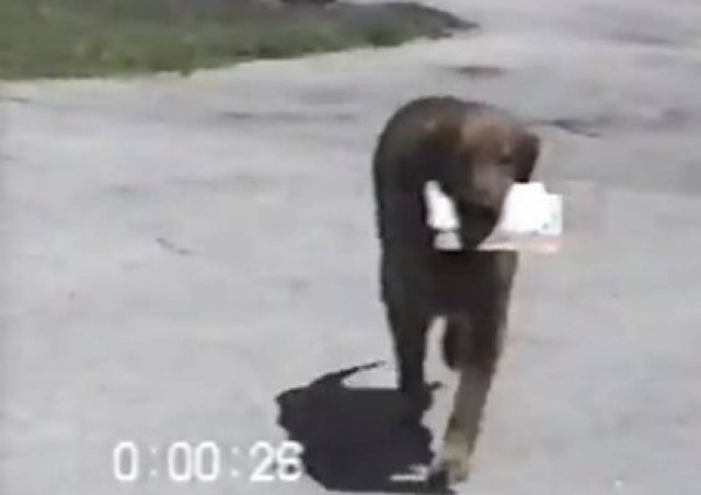Video: Ο σκύλος που φέρνει την εφημερίδα