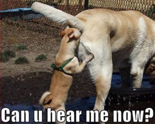 Ώρα για γέλιο  - Δείτε τις φωτογραφίες