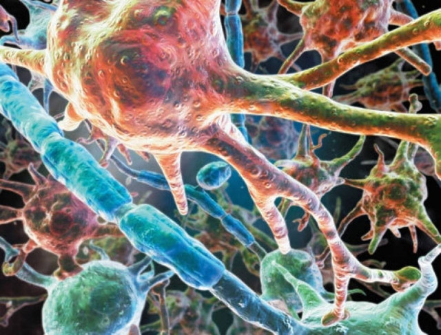 Ανακάλυψαν το μόριο που σταματά τη μετάσταση των καρκινικών κυττάρων!