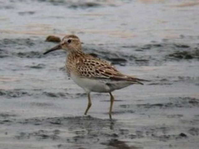 Αγρυπνο, serial… σεξ!