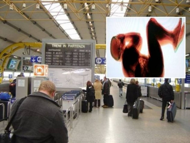 Μέθυσε και τον πήρε ο ύπνος στο μηχάνημα ελέγχου αποσκευών!