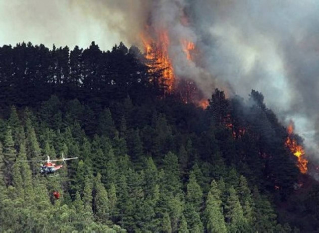 Κύπρος: Υπό πλήρη έλεγχο τέθηκε η πυρκαγιά της Λεμεσού