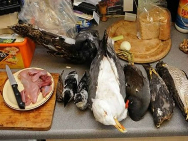 Οι πιο περίεργες δίαιτες που έχετε ακούσει!