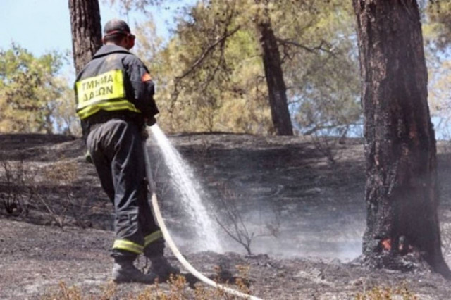 Υπό έλεγχο πυρκαγιά στην Κύπρο