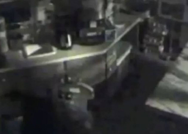 Δείτε τον κλέφτη-αρκούδα που όρμησε στο μαγαζί με σοκολάτες!