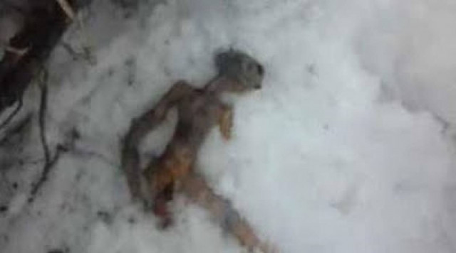 Η αλήθεια για τον νεκρό εξωγήινο που βρέθηκε στη Σιβηρία