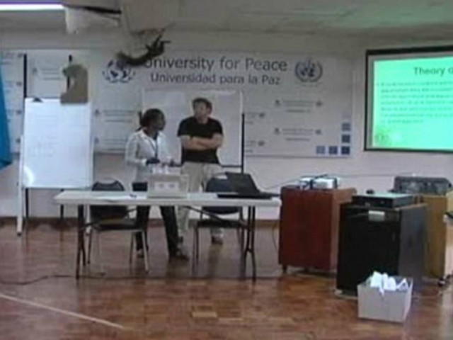 Βίντεο: Βρέχει... γάτες!