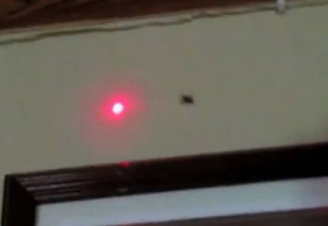 Video: Η αράχνη κυνηγάει το λέιζερ