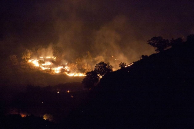 Ιταλία: Εκκενώθηκαν κάμπινγκ λόγω φωτιάς