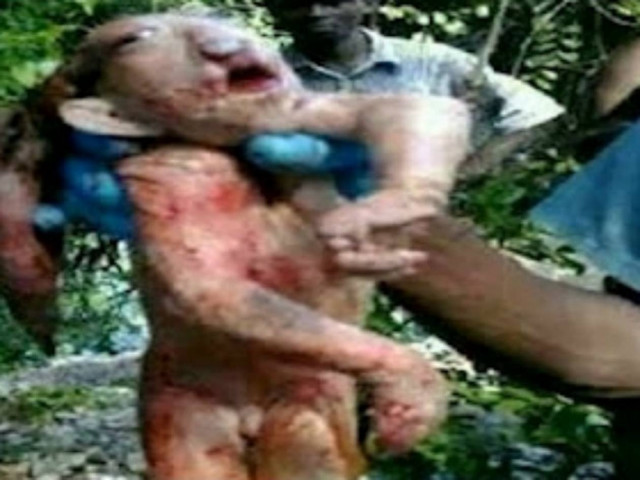 ΑΠΙΣΤΕΥΤΕΣ ΕΙΚΟΝΕΣ: Άγνωστο πλάσμα βρέθηκε στην Αφρική!