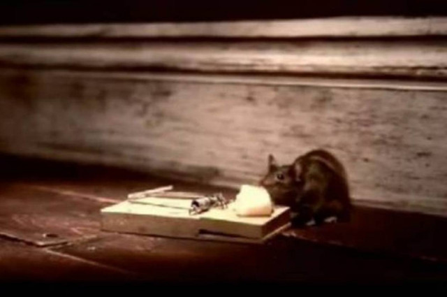 Ο,τι δε σε σκοτώνει σε κάνει πιο δυνατό (video)