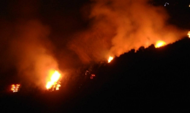 Φωτιά στην Άνω Καλλιθέα Πάτρας