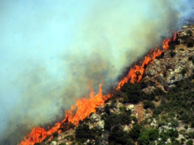 Πολύ υψηλός ο κίνδυνος πυρκαγιάς την Τρίτη