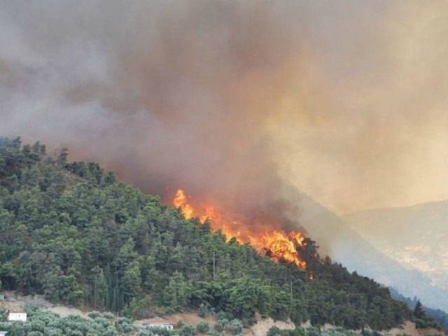 Υπό μερικό έλεγχο η πυρκαγιά στην Λακωνία