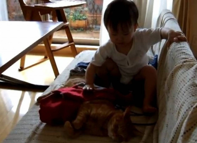 Video: Η αγάπη ενός παιδιού για την γάτα του