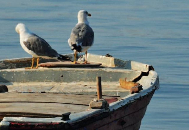 «Κλιματική Αλλαγή και Επιχειρηματικές Ευκαιρίες»