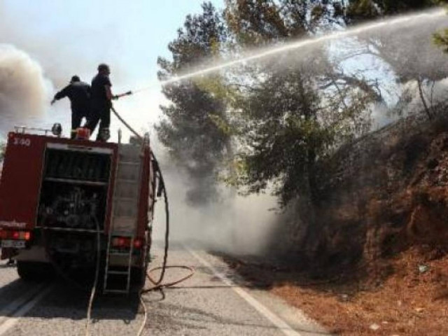 Σε εξέλιξη πυρκαγιές σε Κεφαλονιά και Εύβοια