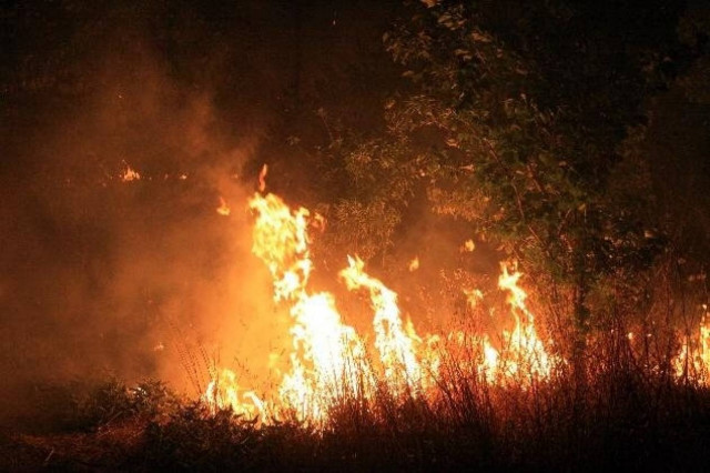 Μαίνεται το πύρινο μέτωπο στην Αρκίτσα!