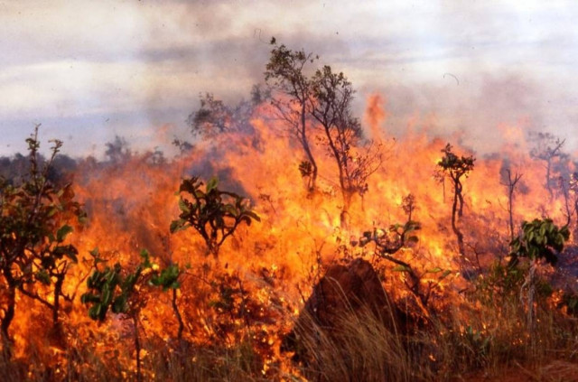 Ο χάρτης πρόβλεψης κίνδυνου πυρκαγιάς για τη Δευτέρα 27/8