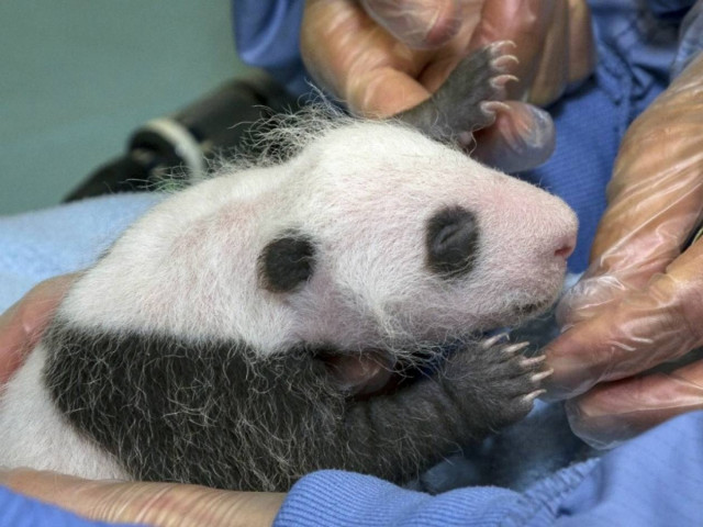 Οι πιο γλυκές φωτογραφίες ζώων της εβδομάδας που πέρασε