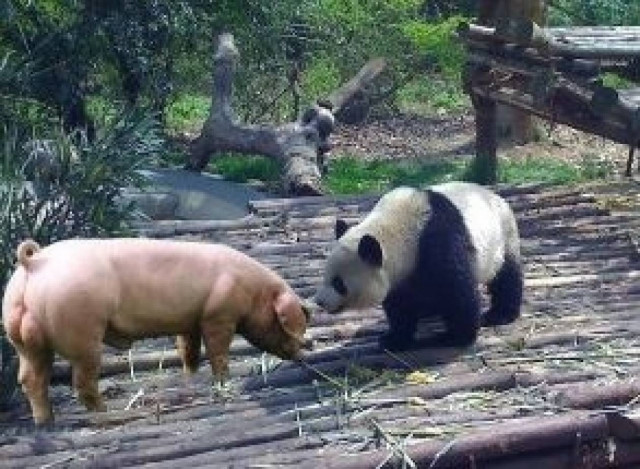 Ανέκδοτο: Η διαφορά