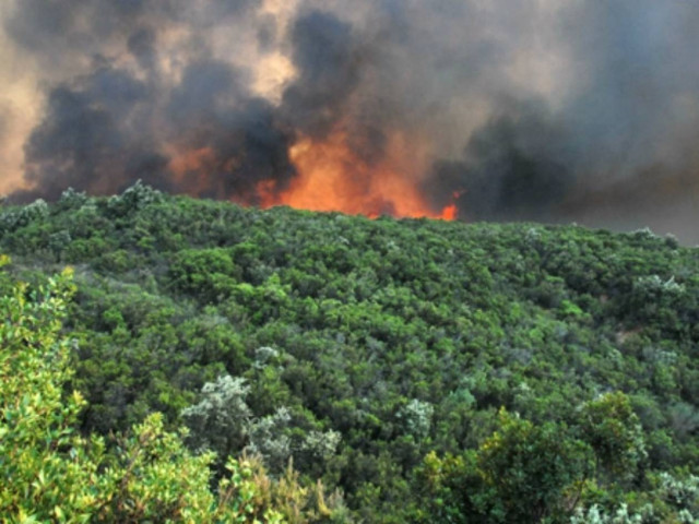 Φωτιά στην Πύλο