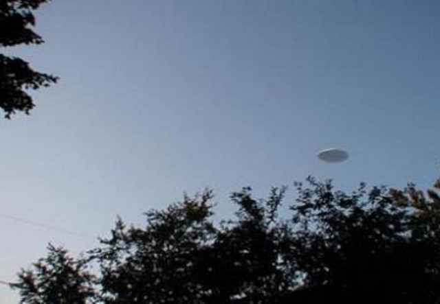 UFO ανάμεσα στις φυλλωσιές!