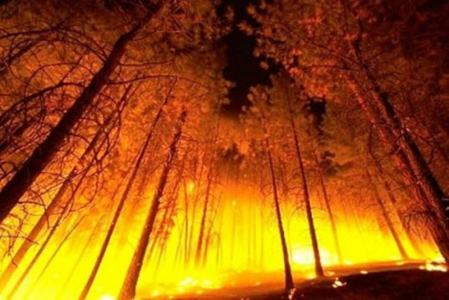 Σε εξέλιξη δύο πύρινα μέτωπα σε Φλώρινα και Κοζάνη