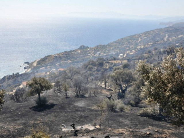 Εύβοια: Η φωτιά πλησιάζει το χωριό - Κάηκαν δύο σπίτια! (vid)