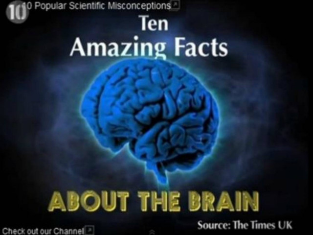 Βίντεο: Γιατί δεν μπορούμε να γελάσουμε εάν... αυτογαργαληθούμε!