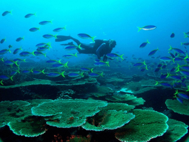 Το μεγαλύτερο θαλάσσιο καταφύγιο στον κόσμο