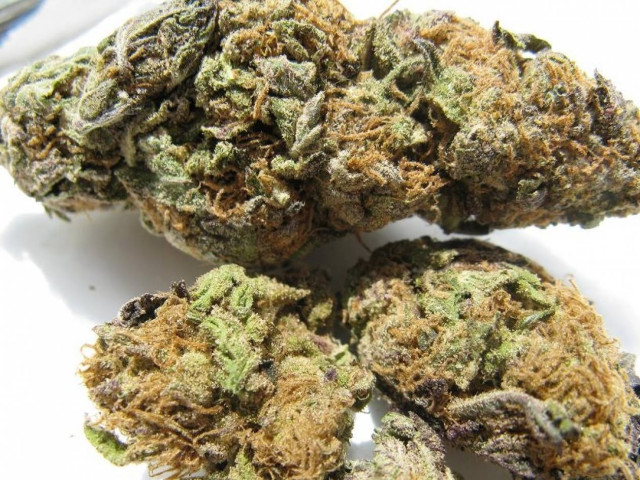 Μη αναστρέψιμη η μείωση του IQ σε έφηβους χρήστες κάνναβης!