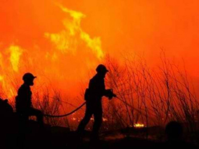 Ρόδος: Στάχτη 2.000 στρέμματα δάσους