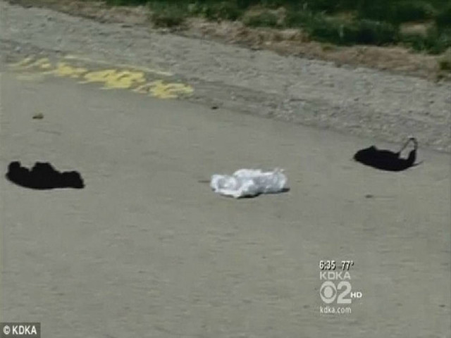 Πέταγε τα εσώρουχά της στο δρόμο για να την εκδικηθεί!