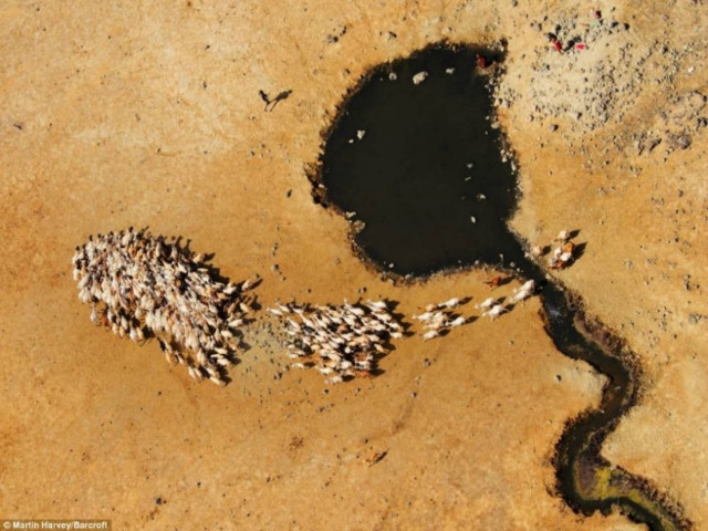 Εντυπωσιακές εναέριες φωτογραφίες από την άγρια ζωή στην Αφρική