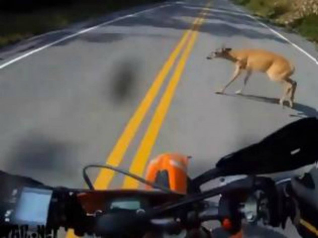 Βίντεο: Τα καλύτερα FAIL του Αυγούστου!