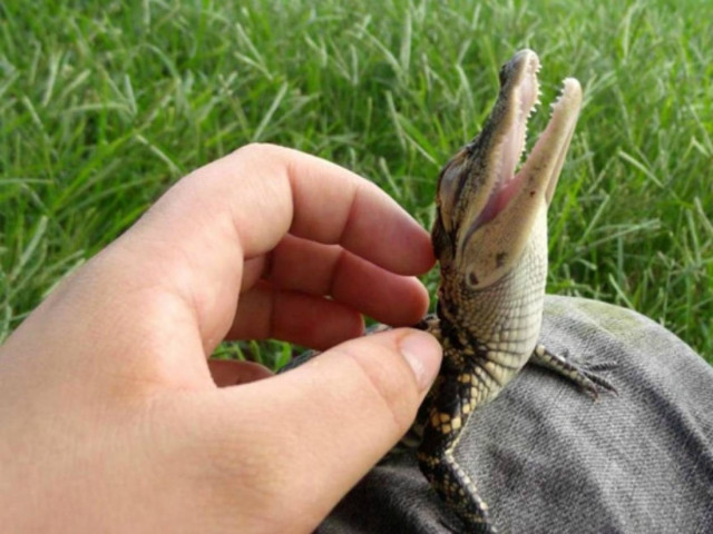 Οι πιο γλυκές φωτογραφίες με ζώα!