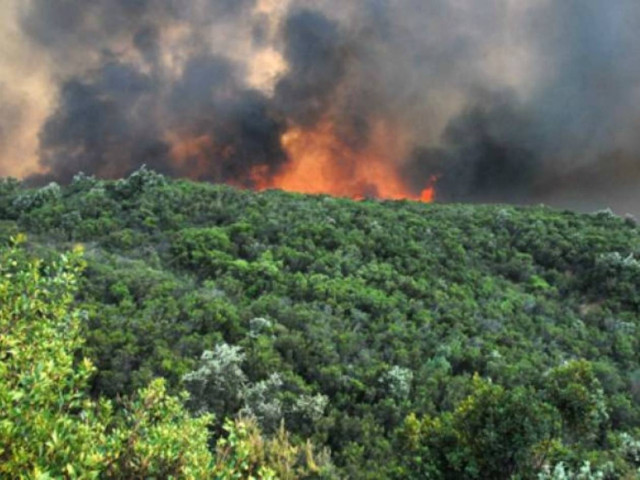 Σε εξέλιξη τρεις φωτιές στην Εύβοια