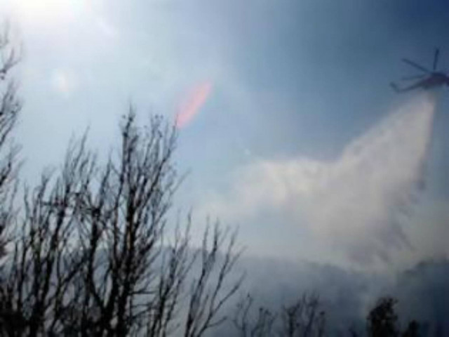 Πυρκαγιά στην Κύμη