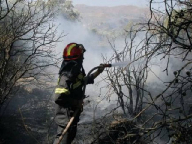 Φωτιές παντού στην Κρήτη - Αγώνας δρόμου για την πυροσβεστική
