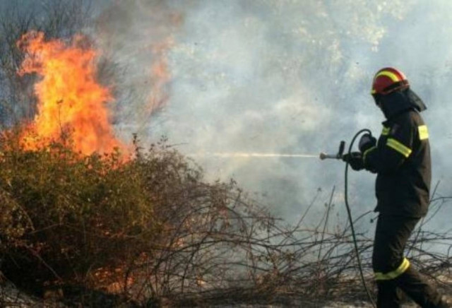Υπό μερικό έλεγχο η πυρκαγιά στο Βασιλικό Μεσσηνίας