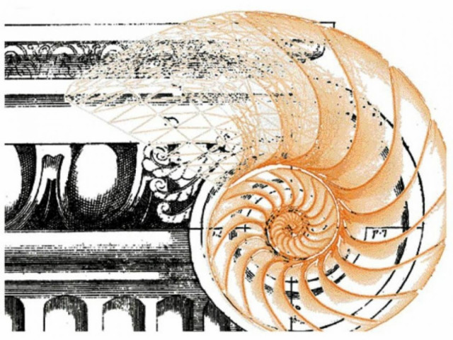 Ο χρυσός αριθμός Φ