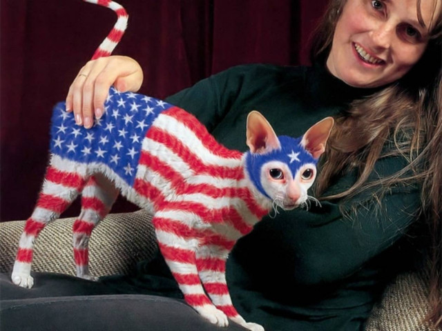 ΣΟΚ: Βάφουν τις γάτες τους με μπογιά και κάνουν σχέδια (pics)