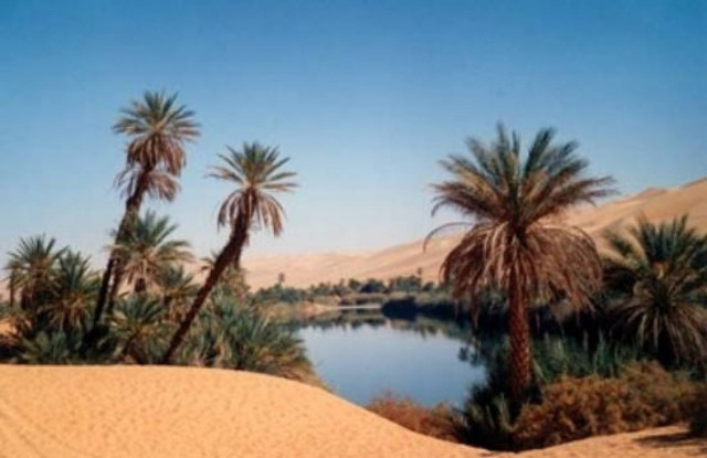 Ελληνική επιχειρηματική παρουσία στην Λιβύη