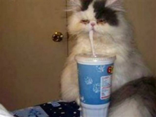 ΔΕΙΤΕ: Σε κατάσταση hangover