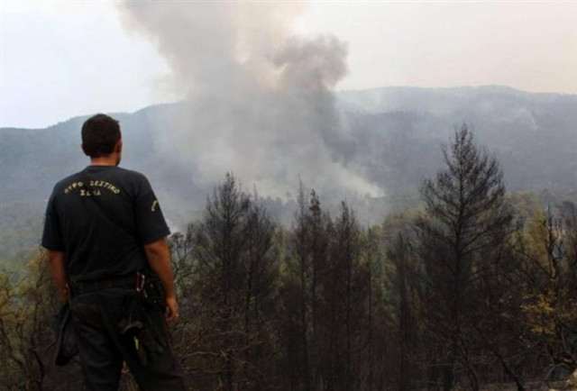 Υπό μερικό έλεγχο η φωτιά στην Κρήνη Λακωνίας
